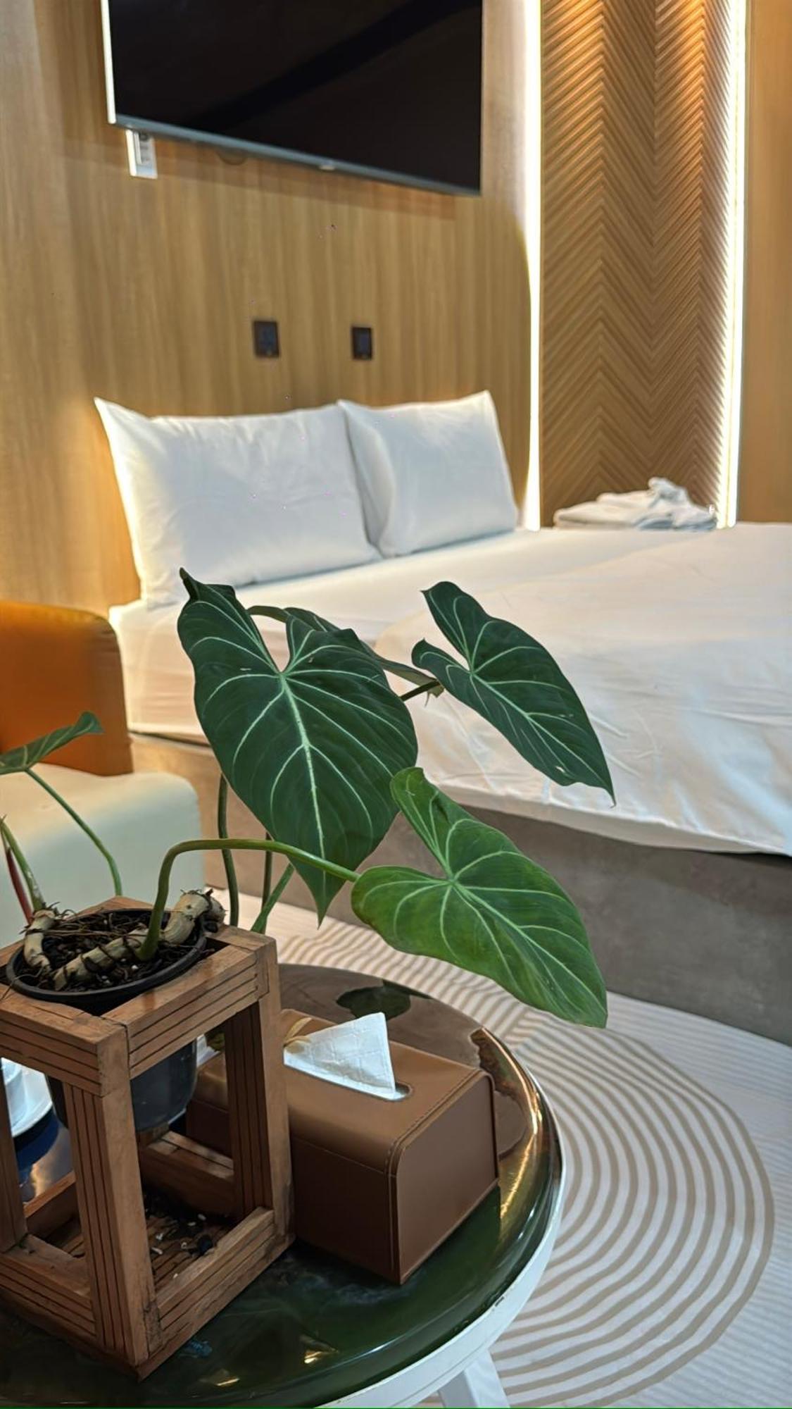 La Garden Homestay Long Xuyen Exterior photo